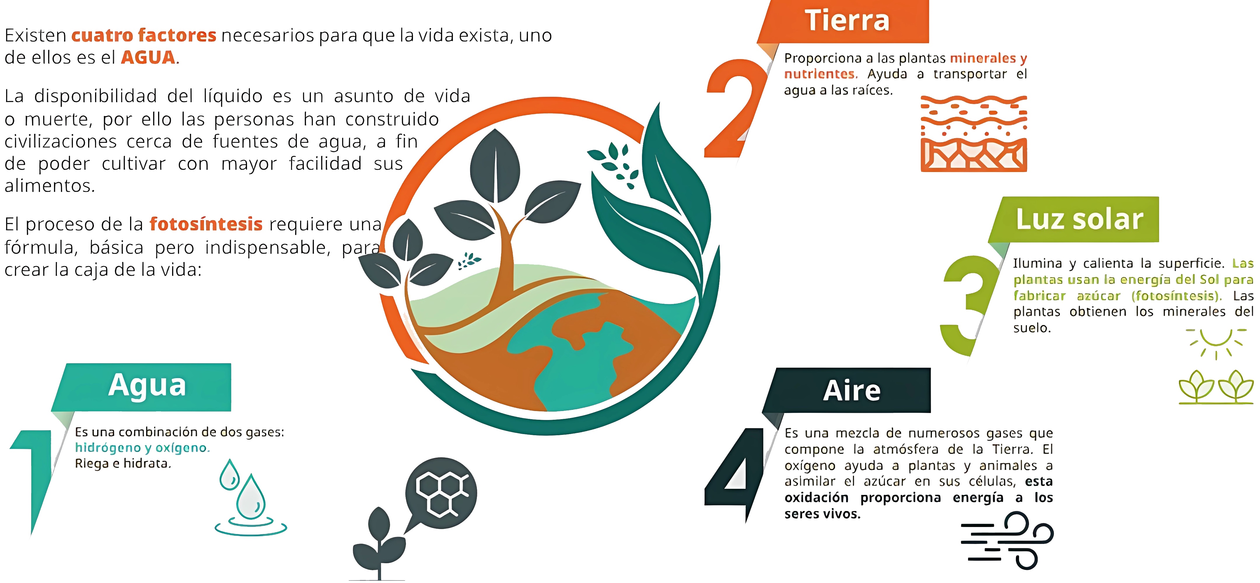 Infografía La caja de la vida, de Conagua